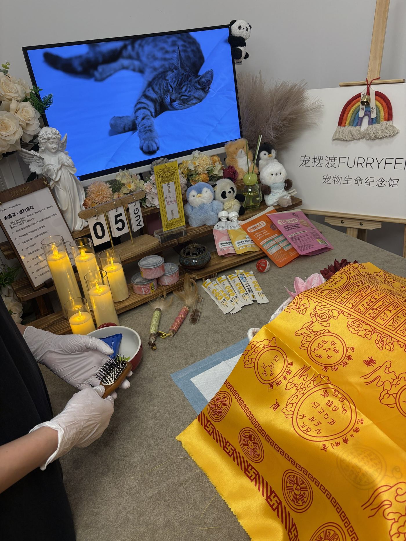 让它继续参与家庭生活