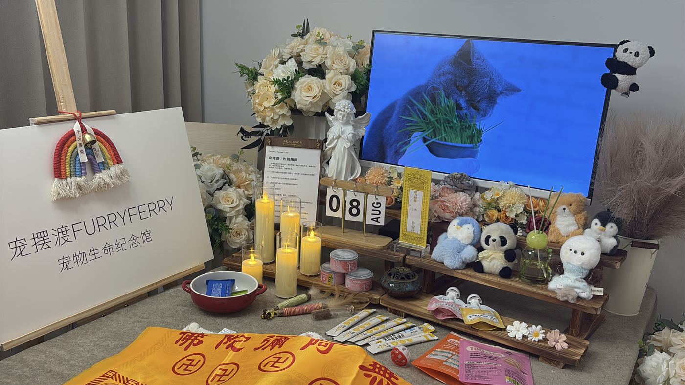 从细节做出选择