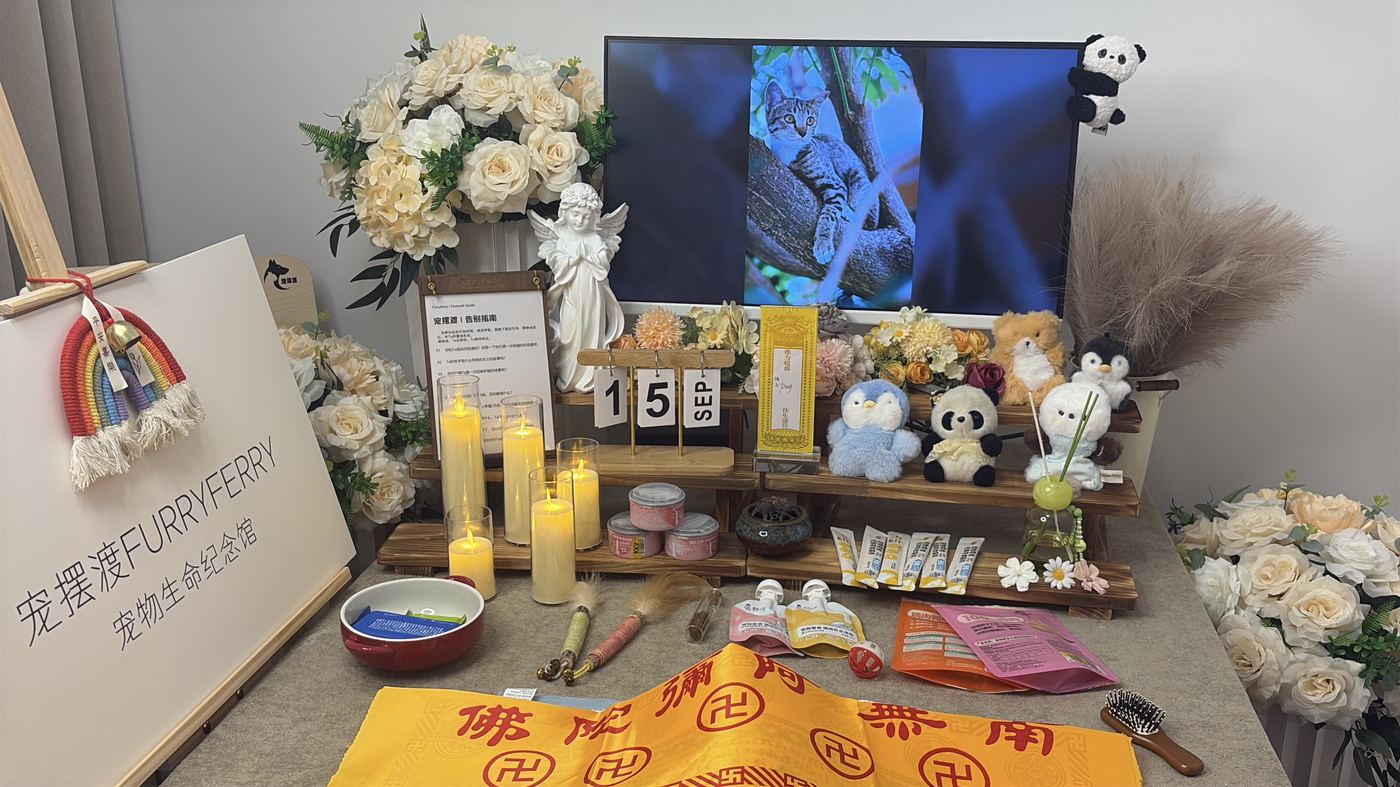 第三看：细节与人情