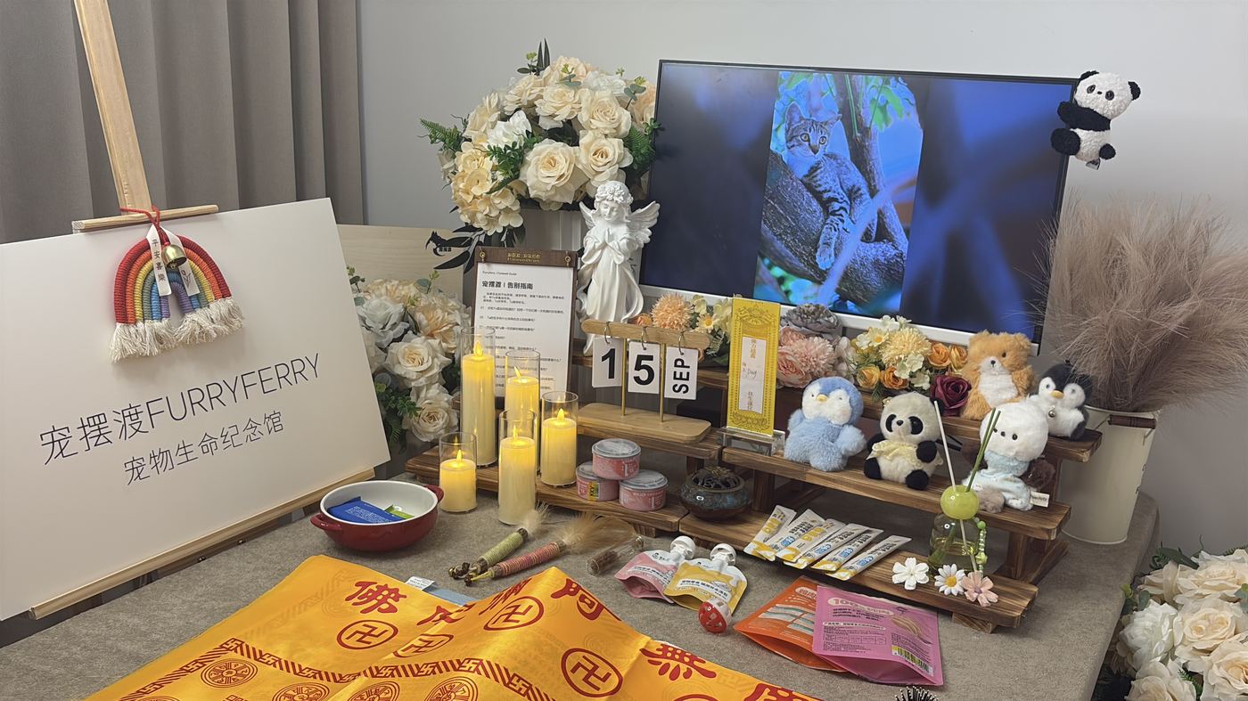 离开不是终点：温州家庭的宠物生命教育